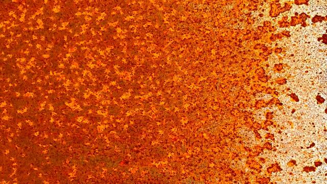 Thank God for the Sun