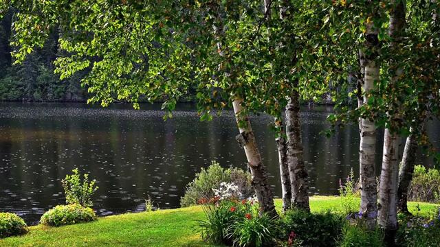 Валерий Сёмин  -  ПЕРВЫЙ ПОЦЕЛУЙ