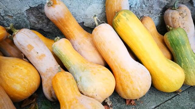 Тикви - 01.10.2020г