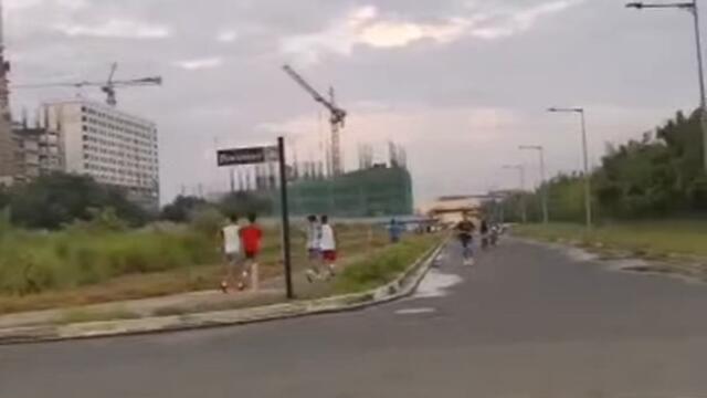 ArCa SOUTH: How to Train Dog walk with you outside.