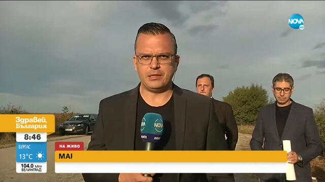 Граждани засадиха коледни звезди в дупки на пътя - Здравей, България (15.10.2020)