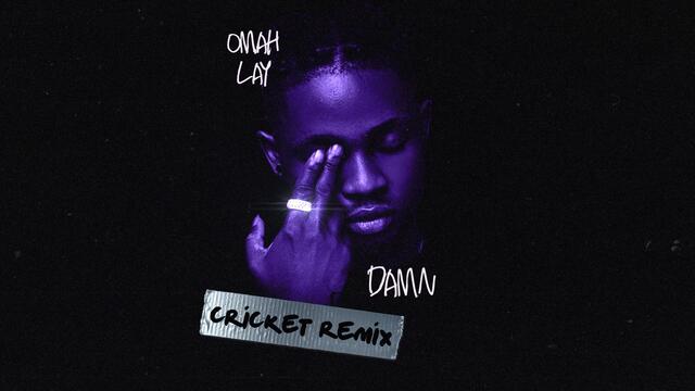 Omah Lay - Damn [Cricket Remix] (Official Audio)