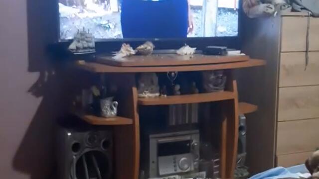 Реагираме на 10 хора вида под.карантина 😂😂😂🤣😂 много смях