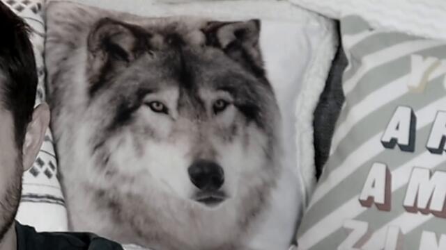 За ПРЪВ ПЪТ ям ЯДЛИВИ БУБОЛЕЧКИ /ЧЕРВЕИ,СКАКАЛЦИ,ЩУРЦИ/ НАЙ-ГНУСНИЯТ MUKBANG!