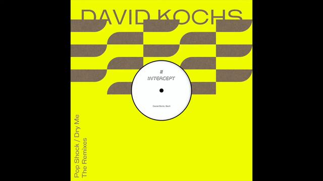 David Kochs - Dry Me (Daniel Bortz Remix)