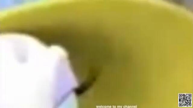 Mickey Mouse Clubhouse Full Episodes | Mickey mouse New 2020 | disney junior # 133