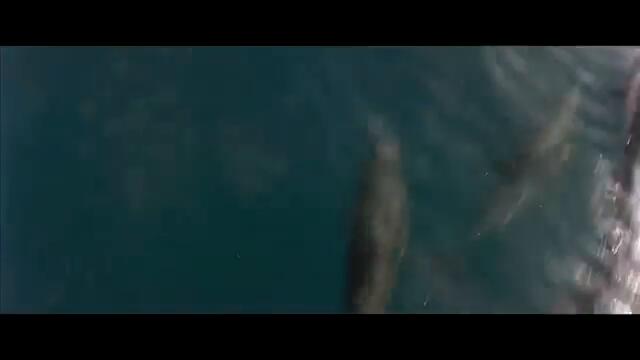 Titanic - My Heart Will Go On (Music Video)