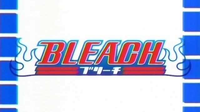 Bleach - 05 (bg sub)