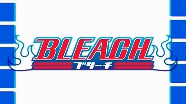 Bleach - 13 (bg sub)
