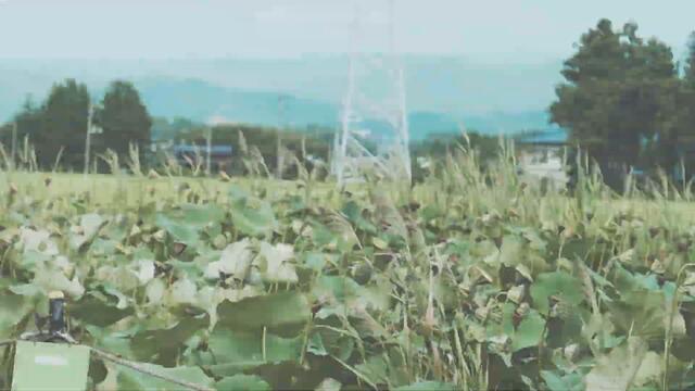 Nami Sato - TEN (The Ambient Zone)