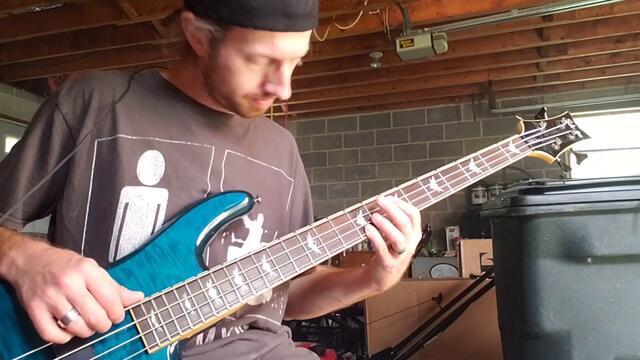 Threshold Of Insanity - Nemesis