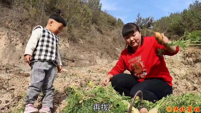 【陕北霞姐】5个黄萝卜2斤猪肉，今天做“黄萝卜饺子”，浇上柿子酱吃，就是小时候的味道！