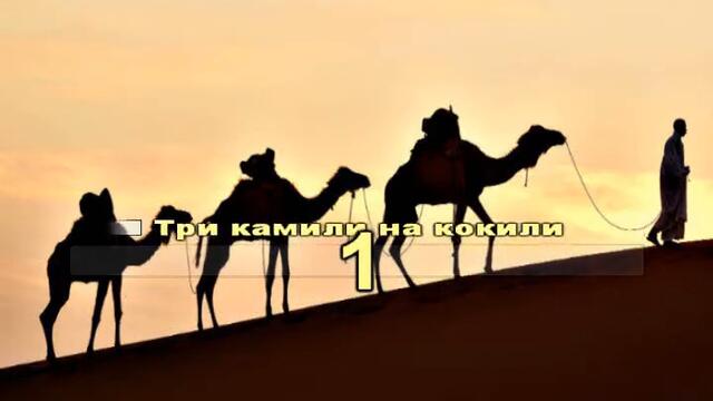 Камилска история lyrics