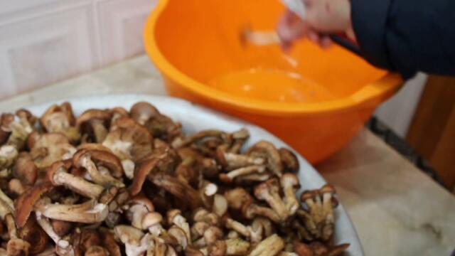 Мариновані опеньки на зиму Консервовані гриби 2 рецепти