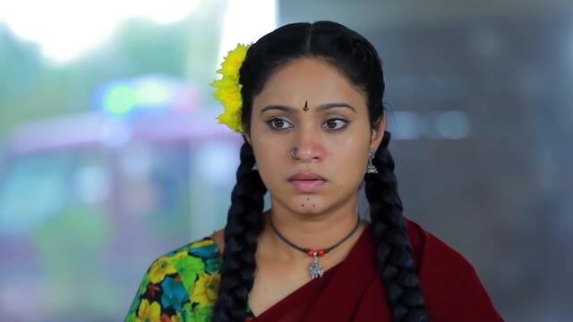 CHANDRALEKHA Serial | Episode 1730 | 3rd Nov 2020 | Shwetha | Munna | Nagasri | Arun