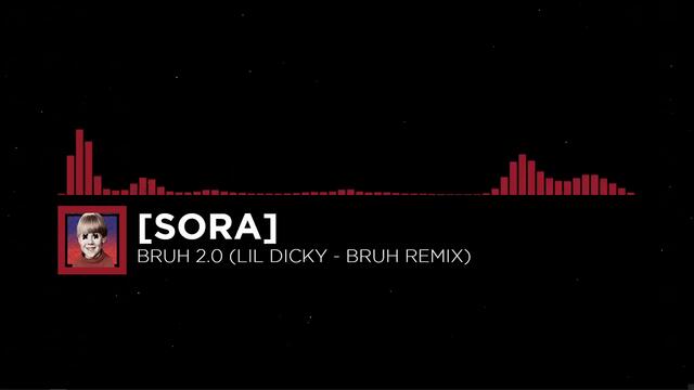 Lil Dicky - Bruh... (Sora's BRUH 2.0 Mix)