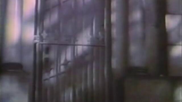 Q Lazzarus - Goodbye Horses (Original Video)