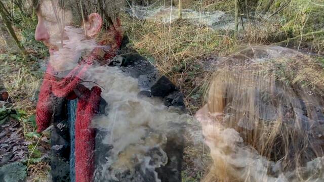 The Wilderness Yet – The Wilderness Yet