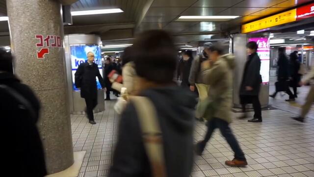 How Do Cities Manage Stormwater?