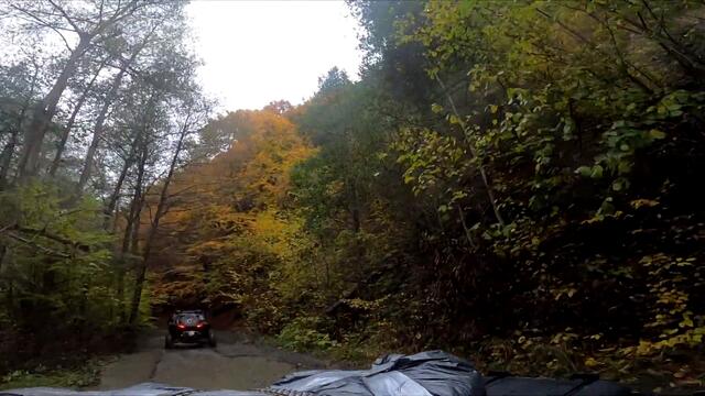 2020.10.29 - София-Добърско (1/4)