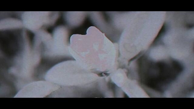 НЕВЕНА, КУ-КУ БЕНД, FABRIZIO PARISI & THE EDITOR - ВЕЧЕРНИЦА (REMIX)