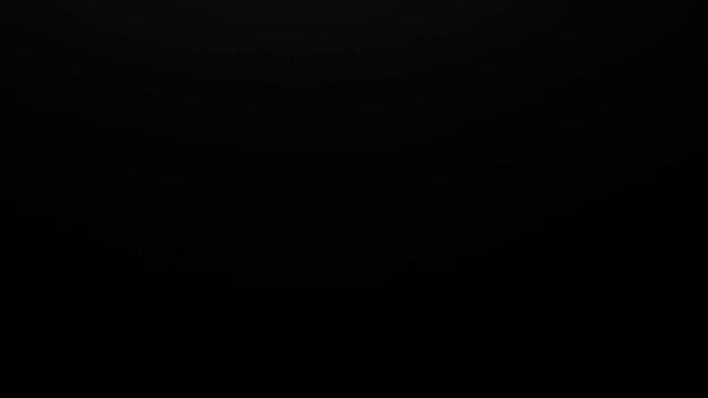 The Witness by Adam Jones Introduces The Gibson 1979 Les Paul Custom