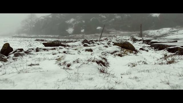 Hearts of Black Science - Wolves at the Border feat. Heike Langhans