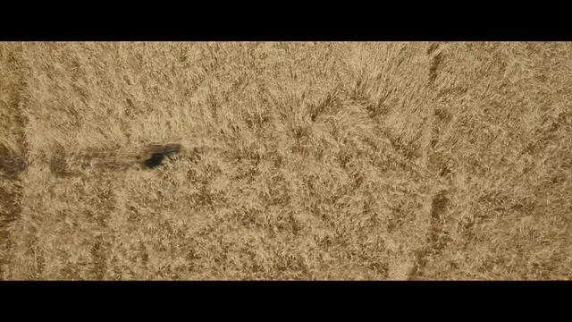 Jiu Jitsu Trailer #1 (2020) | Movieclips Trailers