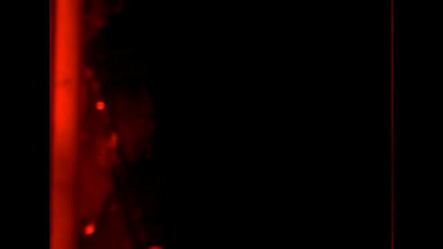 Vagabond & Superghost - The Fear Of God (Music Video)