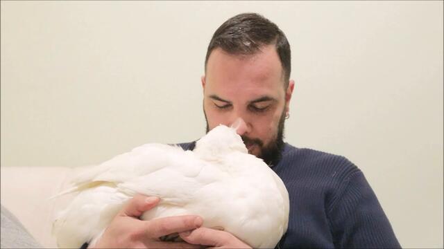 Thug Life! Duck says NO to smoking!