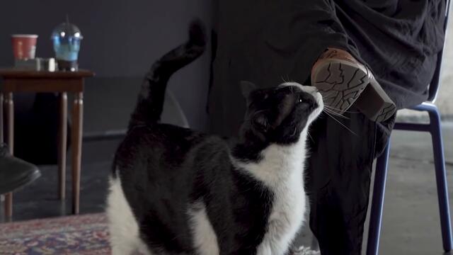 Σωκράτης Μάλαμας - Μάρθα Φριντζήλα - Η μπαλάντα του Ούρι #tasketa