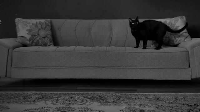 Blaze Foley Stories: -When Blaze Met Townes Van Zandt   (Gurf Morlix)