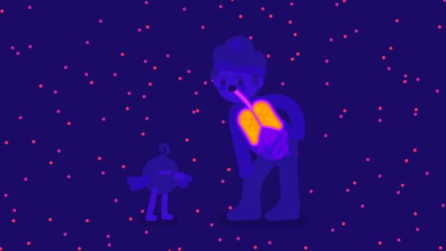 How Large Can a Bacteria get? Life & Size 3