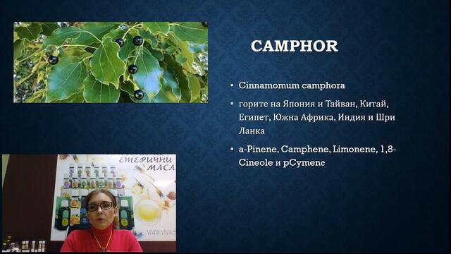 VIVASAN срещу надбъбречната умора