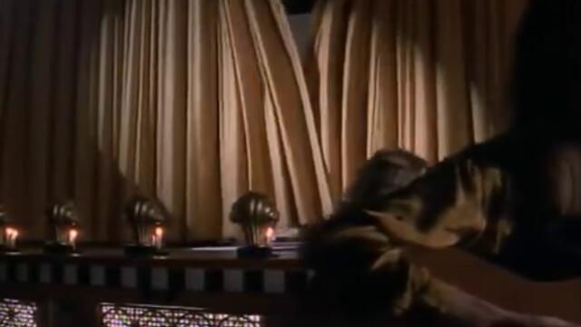 Crash Test Dummies - Mmm Mmm Mmm Mmm (Official Video)