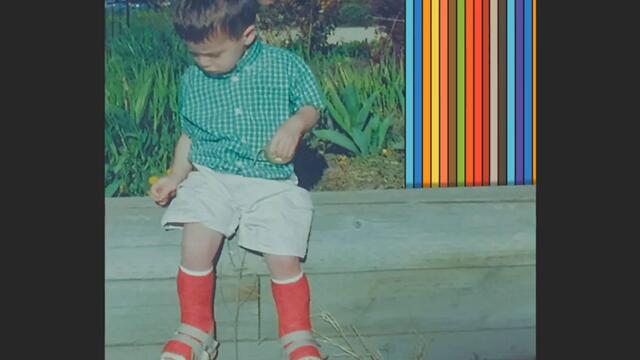 Ritt Momney - Pollution/Disclaimer