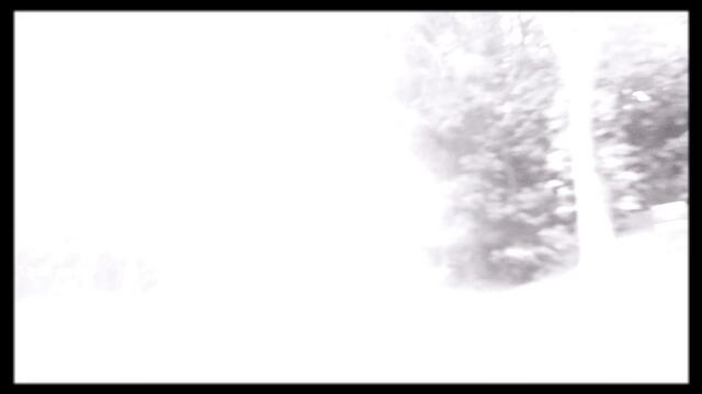 Fleet Foxes - "Sunblind"