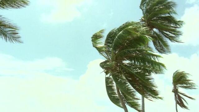 Който намери приятел, намира съкровище  Who Finds a Friend Finds a Treasure  (1981) Бг Аудио Част 2