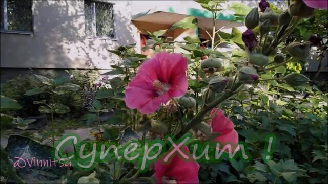 Доброе Утро!   ИМЯ ТВОЁ по НОЧАМ ШЕПТАЛ!