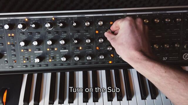 Create The Sound: Maceo Plex - Solar Detroit [Ellum] with Moog Subsequent37