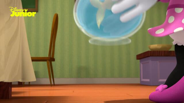 Lunch for pets | 🚗 Mickey Mouse Mixed Up Adventures | Disney Junior