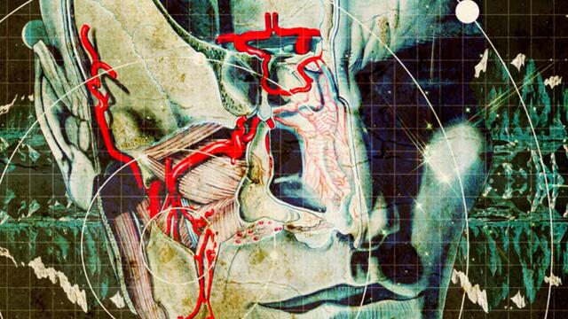 In the Company of Worms