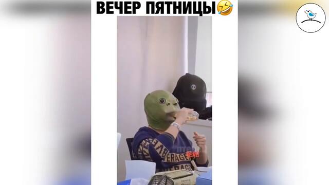 Прикольное видео #30 ноябрь 2020 птенец прикольные видео