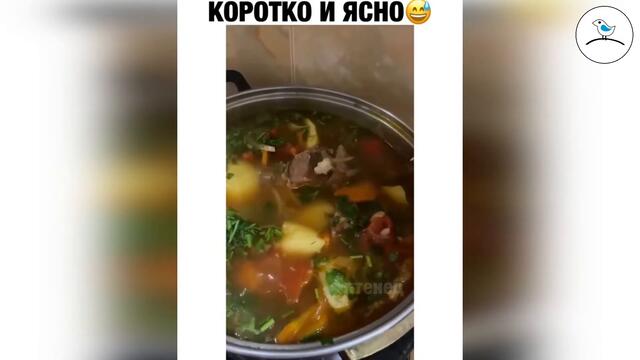 Прикольное видео #45 ноябрь 2020 птенец прикольные видео