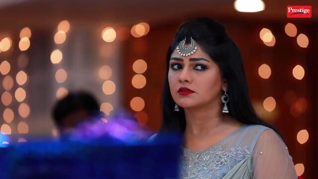 ROJA Serial | Episode 685 | 17th Nov 2020 | Priyanka | SibbuSuryan | SunTV Serial |Saregama TVShows