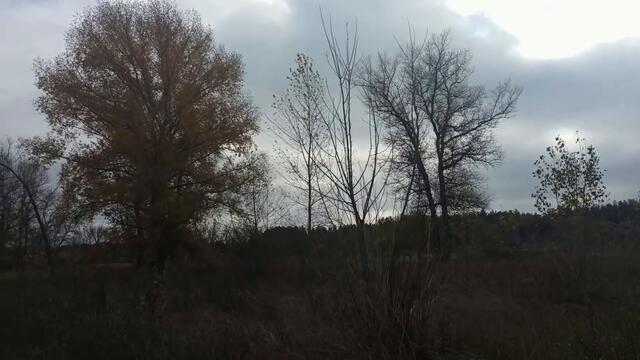 НОВОЛУНИЕ С 15- 16 НОЯБРЯ. ЧТО НЕЛЬЗЯ И ЧТО НУЖНО СДЕЛАТЬ... ВЛИЯНИЕ НА ЧЕЛОВЕКА...