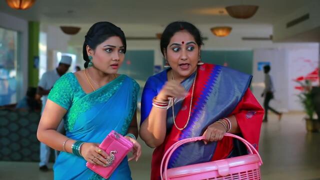ROJA Serial | Episode 691 | 24th Nov 2020 | Priyanka | SibbuSuryan | SunTV Serial |Saregama TVShows