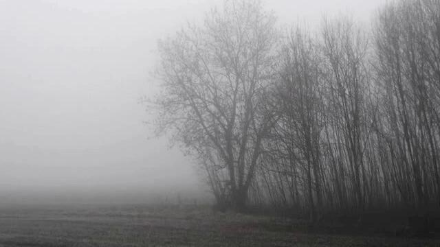 ColdWorld - This Empty Life