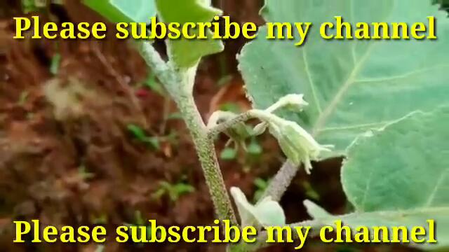 Padatha painkili serial | 02/12/2020 | Padatha painkili serial latest episode | Tomorrow episode