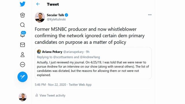 Former MSNBC Producer: Yang & Other Outsider Dems Were Blackballed